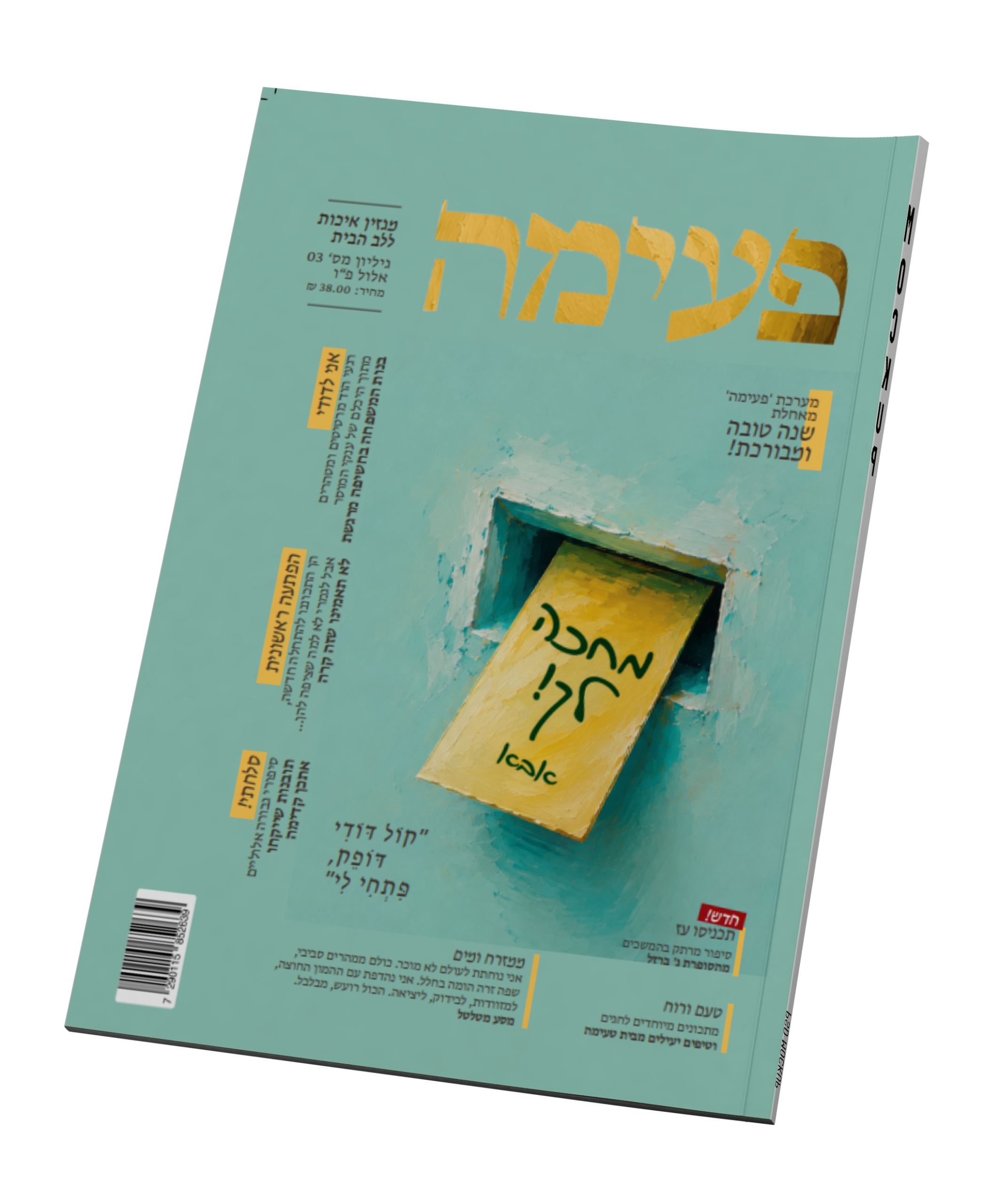 הדמיה מגזין פעימה